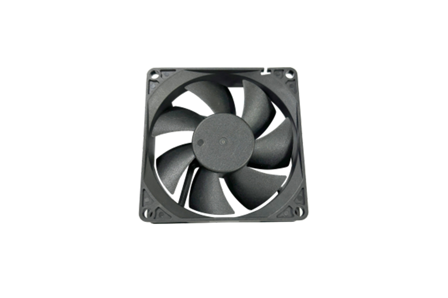 Box 8020