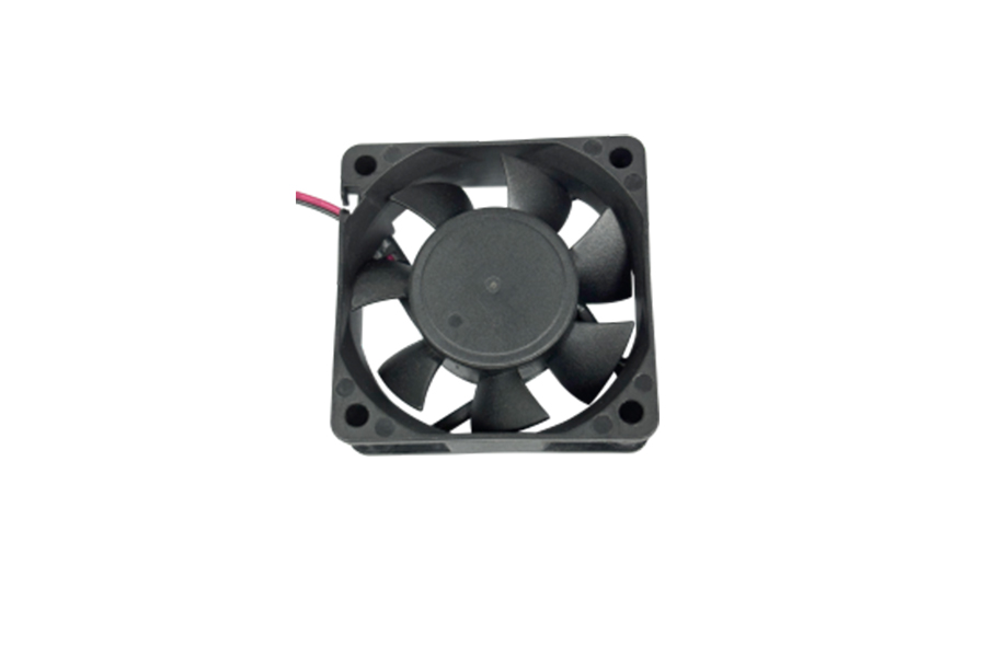 Box 6020