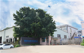 Company's gate